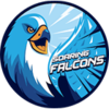 ADU Falcons