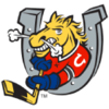 Barrie Colts