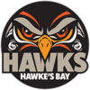 Bay Hawks