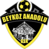 Beykoz Anadolu