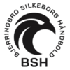 Bjerringbro-Silkeborg