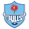 Blue Bulls