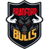 Bradford Bulls