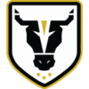 Bulls Academy