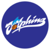 Cairns Dolphins (w)