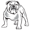 Canterbury Bulldogs