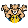 Cockburn Cougars
