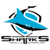 Cronulla Sharks