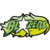 CSB Blasers