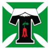 Deportes Temuco (w)