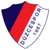 Duzcespor
