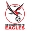 Edgeworth Eagles