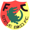 FC Steve Biko