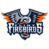 Flint Firebirds