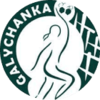 Galychanka Lviv (w)