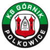 Gornik Polkowice