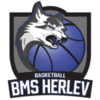 Herlev Wolfpack