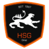 HSG Holding Graz
