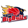 Iwate Big Bulls