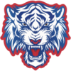 Johor Southern Tiger