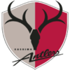 Kashima Antlers