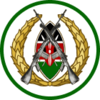 Kenya Army