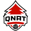 Knat