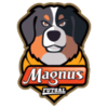 Magnus Futsal