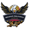 Medan Falcons (w)