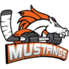 Melbourne Mustangs