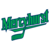 Mercyhurst Lakers