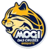 Mogi das Cruzes Basketball