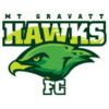 MT Gravatt Hawks