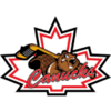 Niagara Falls Canucks