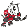 Niagara IceDogs