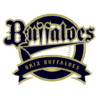 Orix Buffaloes