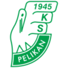 Pelikan Lowicz