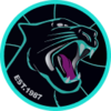 Penrith Panthers (w)