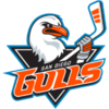 San Diego Gulls