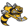Sarnia Sting