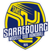 Sarrebourg Moselle Sud Handball