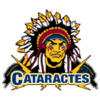 Shawinigan Cataractes