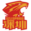 Shenzhen Leopards (r)