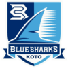 Shimizu Kensetsu Blue Sharks