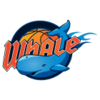 Sichuan Whale U21