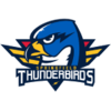 Springfield Thunderbirds