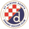 St Albans Saints