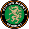 Steiermark U20