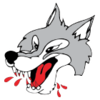 Sudbury Wolves