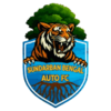 Sundarban Bengal Auto
